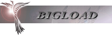 リンク:BIGLOAD